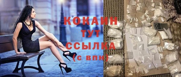 винт Дмитриев