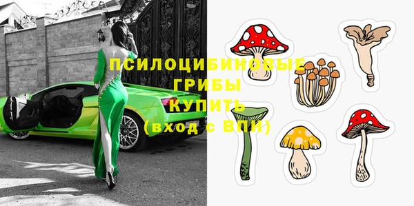 винт Дмитриев