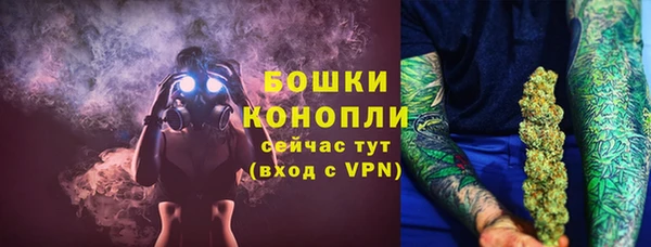 винт Дмитриев