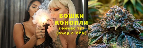 винт Дмитриев