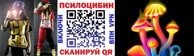 Купить закладки  Кировград  Псилоцибиновые грибы GOLDEN TEACHER 